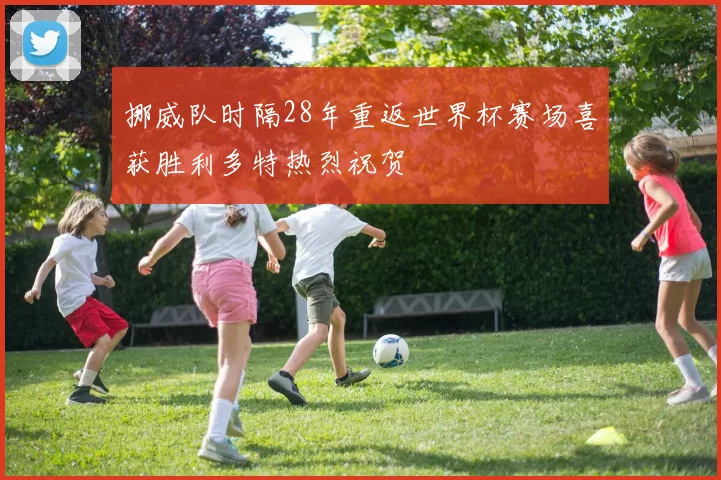 挪威队时隔28年重返世界杯赛场喜获胜利多特热烈祝贺